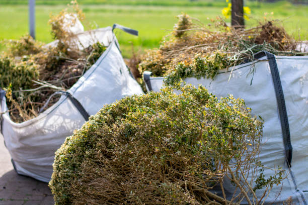 Best Hoarding Cleanup  in Jellico, TN